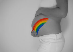 Projeto Ninho Solidário contempla barriga solidária para casal homoafetivo masculino