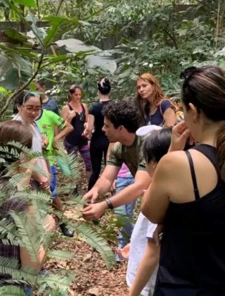 Trilha ecológica ensina ações sustentáveis no mês do Meio Ambiente