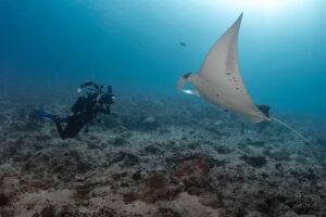 fabi-e-manta---maldivas---Por-Raphael-Gatti