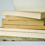 COLUNA LITERÁRIA – Confira novas leituras para seu final de semana