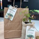 Dia da Árvore: Catuaí Maringá distribui mudas e adubo produzido a partir de resíduos do shopping