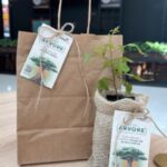 Dia da Árvore: Catuaí Maringá distribui mudas e adubo produzido a partir de resíduos do shopping