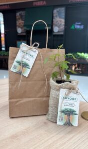 Dia da Árvore: Catuaí Maringá distribui mudas e adubo produzido a partir de resíduos do shopping